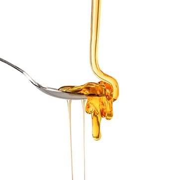 honeyonspon