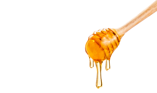 honeyonsponsec